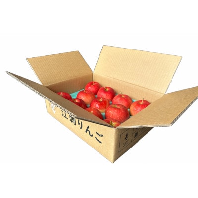 江刺りんご　サンふじ3kg(8～10玉)【50個限定・10月31日までの受付】 【A0005】