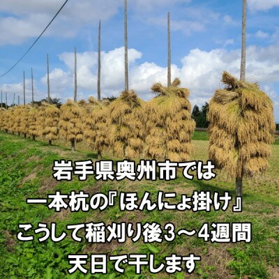 白米 天日干し ひとめぼれ 米 9kg 岩手県奥州市 令和6年産米 9キロ [AC048]