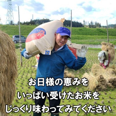 白米 天日干し ひとめぼれ 米 9kg 岩手県奥州市 令和6年産米 9キロ [AC048]