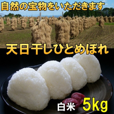 白米 天日干し ひとめぼれ 米 5kg 岩手県奥州市 令和6年産米 5キロ [AC046]