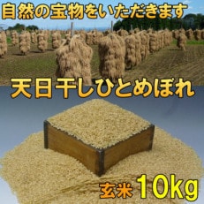 玄米 天日干し ひとめぼれ 米 10kg 岩手県奥州市 令和5年産米 10キロ [AC049]