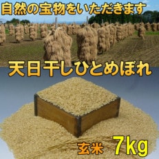 玄米 天日干し ひとめぼれ 米 7kg 岩手県奥州市 令和5年産米 7キロ [AC047]