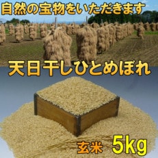 玄米 天日干し ひとめぼれ 米 5kg 岩手県奥州市 令和5年産米 5キロ [AC046]