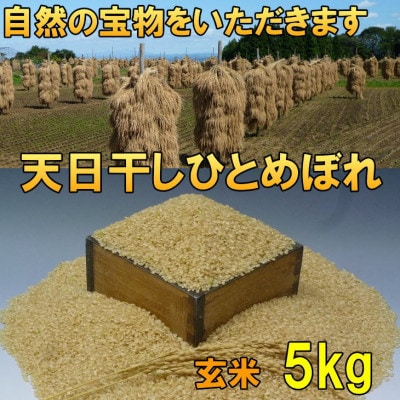 玄米 天日干し ひとめぼれ 米 5kg 岩手県奥州市 令和6年産米 5キロ [AC046]