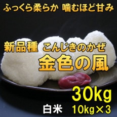 白米 金色の風(こんじきのかぜ)米 30kg(10kg&times;3) 岩手県奥州市 令和5年産[AC036]