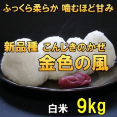 白米 金色の風(こんじきのかぜ)米 9kg 岩手県奥州市 令和5年産米 9キロ [AC029]