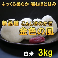 白米 金色の風(こんじきのかぜ)米 3kg 岩手県奥州市 令和5年産米 3キロ [AC026]