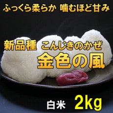 白米 金色の風(こんじきのかぜ)米 2kg 岩手県奥州市 令和5年産米 2キロ [AC025]