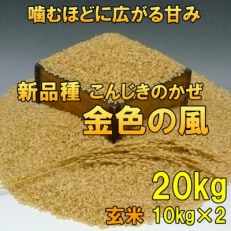 玄米 金色の風(こんじきのかぜ)米 20kg(10kg&times;2) 岩手県奥州市 令和5年産[AC034]