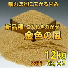 玄米 金色の風(こんじきのかぜ)米 12kg(6kg&times;2) 岩手県奥州市 令和5年産米[AC031]