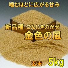 玄米 金色の風(こんじきのかぜ)米 5kg 岩手県奥州市 令和5年産米 5キロ [AC027]