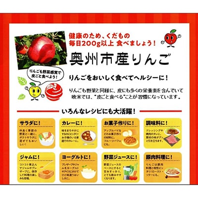 【スターファーム】 こだわり栽培の シナノゴールド 厳選品 3Kg 奥州市産りんご [AY008]