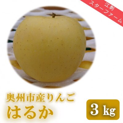 【スターファーム】 こだわり栽培の はるか 厳選品 3kg 岩手県奥州市産りんご [AY002]