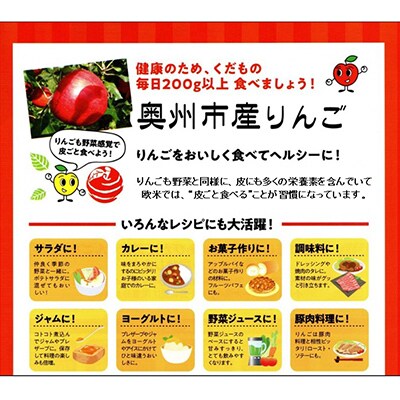【スターファーム】 こだわり栽培の サンふじ 厳選品 3kg 岩手県奥州市産りんご [AY004]