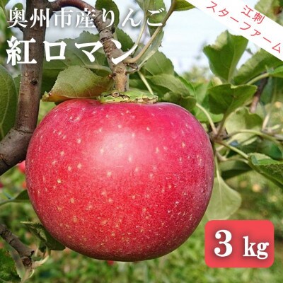 【スターファーム】こだわり栽培の 紅ロマン 厳選品 約3kg 岩手県奥州市産りんご [AY001]