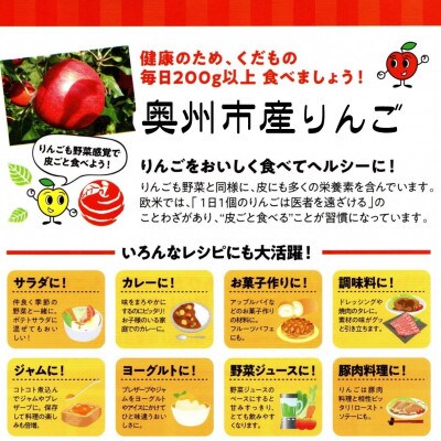 【スターファーム】こだわり栽培の 紅ロマン 厳選品 約3kg 岩手県奥州市産りんご [AY001]