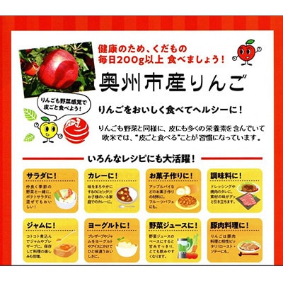 【スターファーム】こだわり栽培の 北斗 厳選品 3kg 岩手県奥州市産りんご 産地直送[AY007]