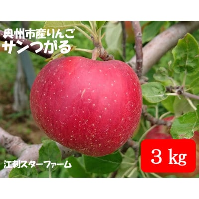 【スターファーム】 こだわり栽培の サンつがる 厳選品 3kg 岩手県奥州市産りんご [AY005]