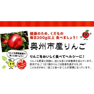 【スターファーム】 こだわり栽培の ジョナゴールド 厳選品 約3kg 奥州市産りんご [AY009]