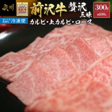 前沢牛贅沢三昧(カルビ100g・上カルビ100g・ロース100g)【冷凍発送】 [U0199]