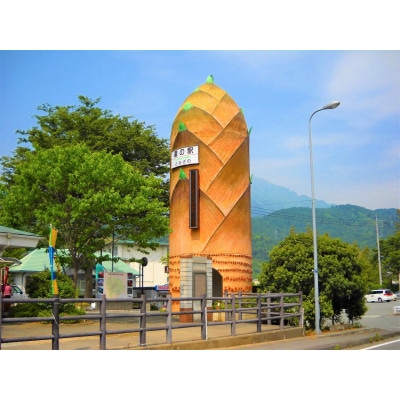 【期間限り】楽市筍研究会の新鮮「朝堀り」生たけのこ　4～5kg【4月以降に順次発送いたします】