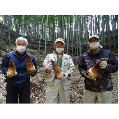 里山研究会の生タケノコ(4kg~5kg)