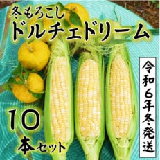 【令和6年11月～発送分受付】朝採り「冬もろこし」!「ドルチェドリーム」10本セット(約5キロ)