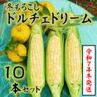 【令和7年11月より順次発行】先行受付　朝採り「冬もろこし」「ドルチェドリーム」10本以上　約5キロ