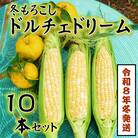 【令和8年11月より順次発行】先行受付　朝採り「冬もろこし」「ドルチェドリーム」10本以上　約5キロ