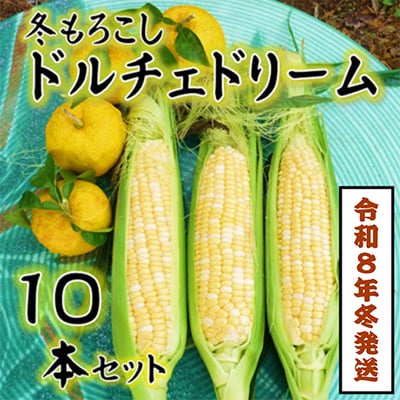 【令和8年11月より順次発行】先行受付　朝採り「冬もろこし」「ドルチェドリーム」10本以上　約5キロ