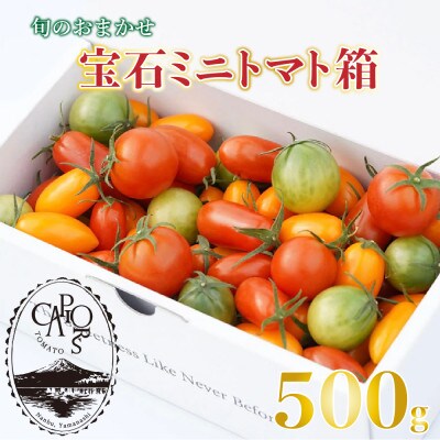 【カピオトマト】旬のおまかせ宝石ミニトマト箱 500g