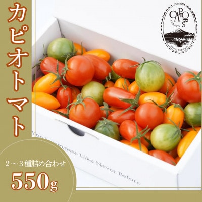 カピオトマトセレクト Mサイズ(おまかせ2〜3品種の詰め合わせ550g)