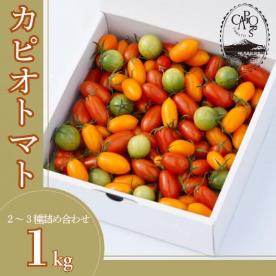 カピオトマトセレクトLサイズ(おまかせ2〜3品種の詰め合わせ1kg)