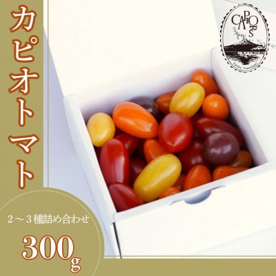 カピオトマトセレクトSサイズ(おまかせ2～3品種の詰め合わせ300g)