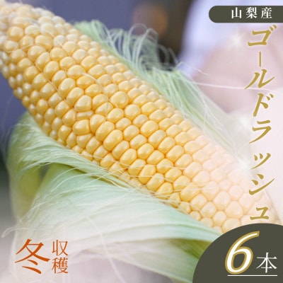【山梨県南部町産】朝採れゴールドラッシュ6本