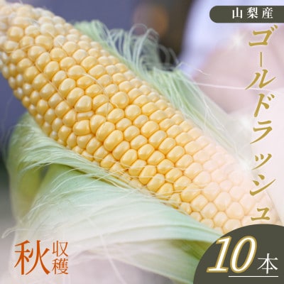 【山梨県南部町産】朝採れゴールドラッシュ10本