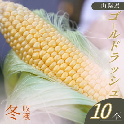 【山梨県南部町産】朝採れゴールドラッシュ10本
