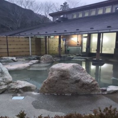 山梨県南部町秘湯「奥山温泉」日帰り入浴券(1名様分)【3枚】