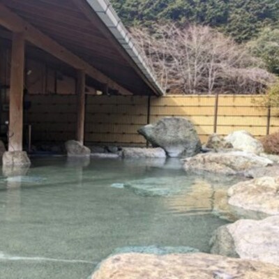 山梨県南部町秘湯「奥山温泉」日帰り入浴券(1名様分)【6枚】