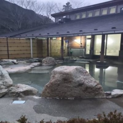 山梨県南部町秘湯「奥山温泉」宿泊券(1泊2食付き)5名様　10畳