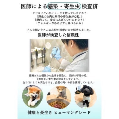 山梨県産 猪ジャーキー 犬猫用 35g×3袋