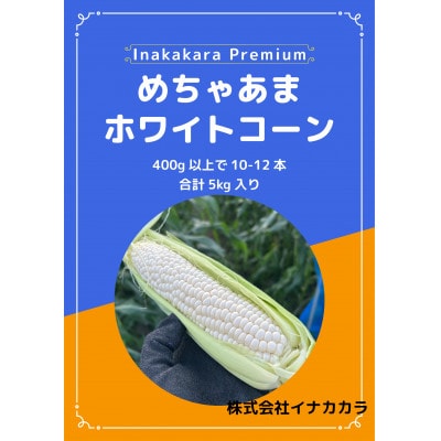 【めちゃあま】ホイップコーン【濃厚半生食感】2L(400g以上)を10～12本