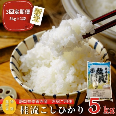 定期便(全3回)修善寺桂流こしひかり5kg【 コシヒカリ 白米 お米 精米 国産 米 ごはん 特別