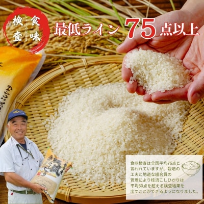 定期便(全3回)修善寺桂流こしひかり5kg【 コシヒカリ 白米 お米 精米 国産 米 ごはん 特別