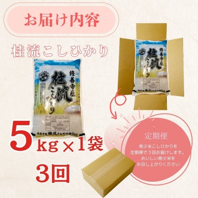 定期便(全3回)修善寺桂流こしひかり5kg【 コシヒカリ 白米 お米 精米 国産 米 ごはん 特別