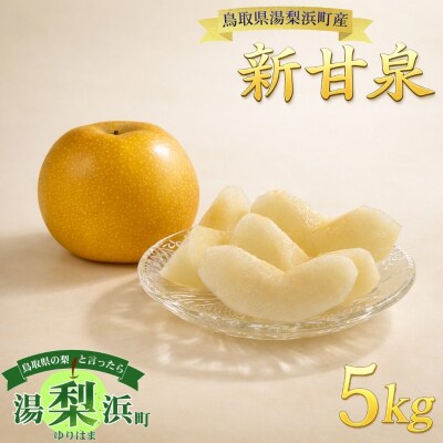 新甘泉5kg(1M.)