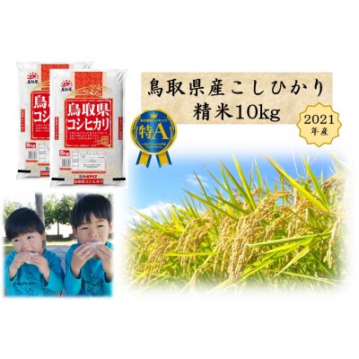 鳥取県産こしひかり◇精米10kg◇2021年産(26G.)
