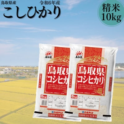 鳥取県産こしひかり◇精米10kg◇令和6年産(98K.)