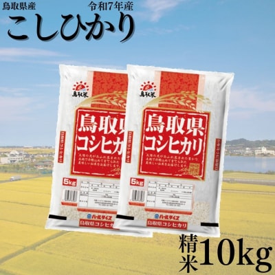 鳥取県産こしひかり◇精米10kg◇令和7年産(384K.)