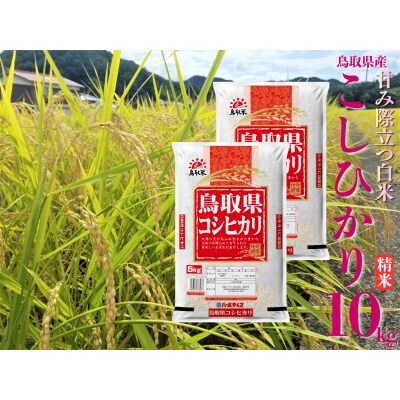 鳥取県産こしひかり◇精米10kg◇令和7年産(44M.)